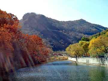 澳门期期准免费精准，沈阳厚地